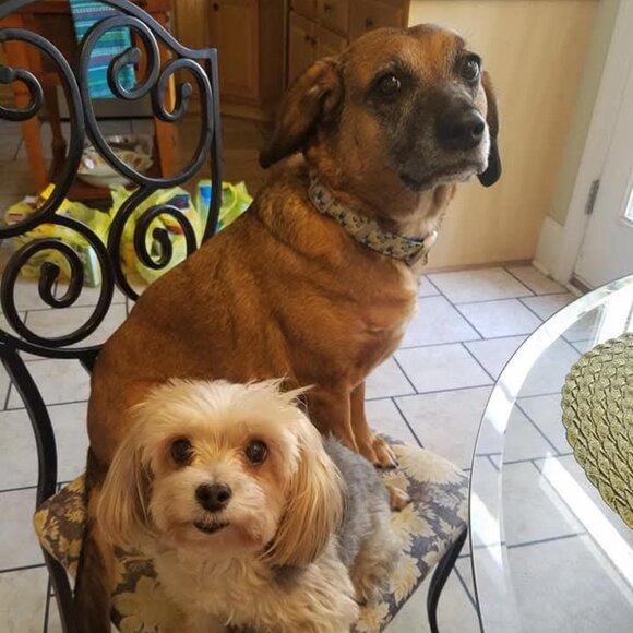 Meet your Posher, Joan - Picture 14 of 15